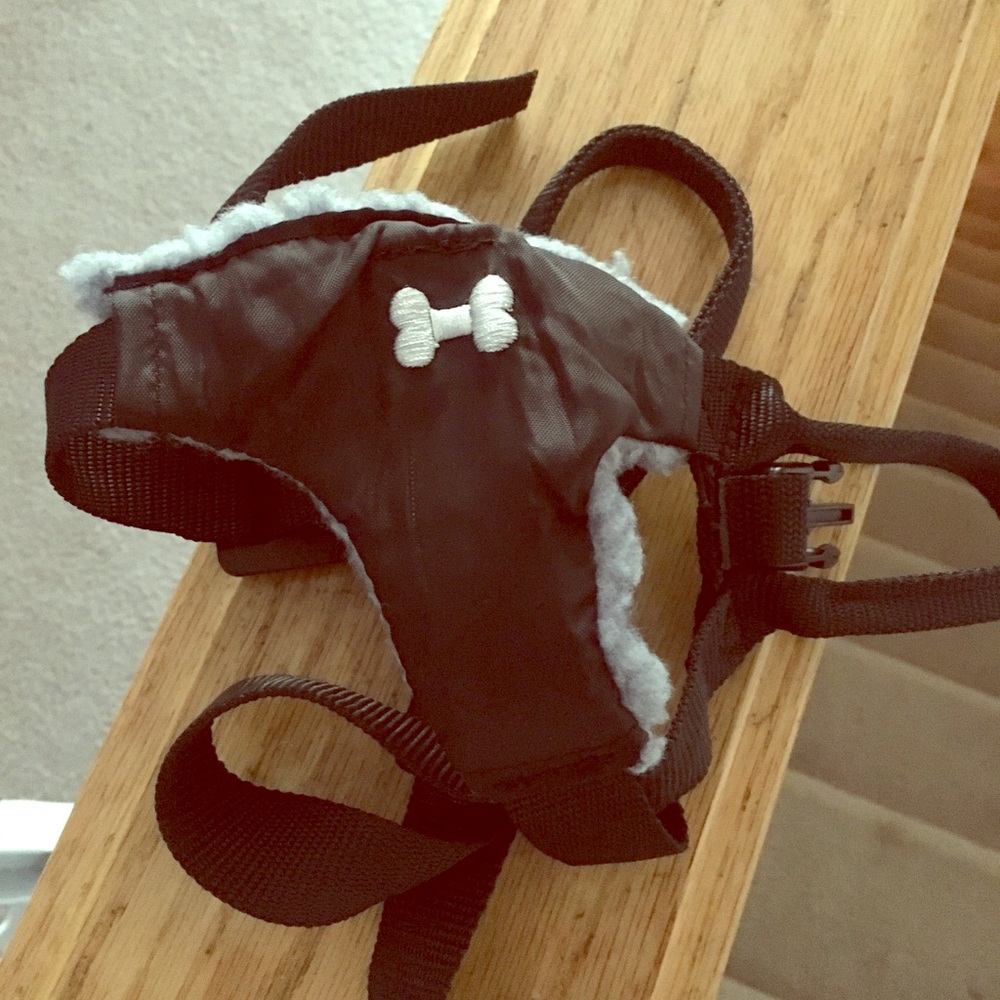 Dog seat belt small up to 25 lbs new